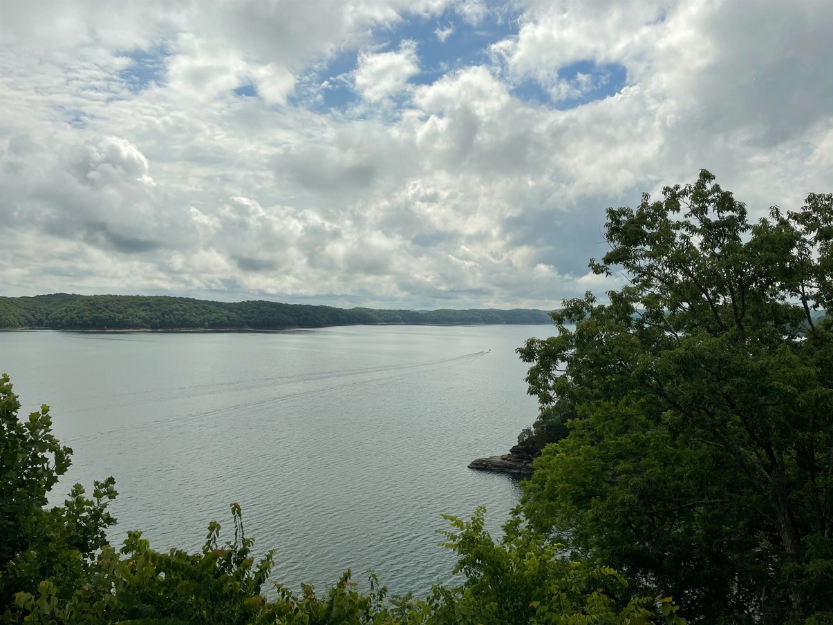 Landscape LC from Lure Lodge